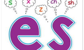 متى نضيف s ومتى نضيف es